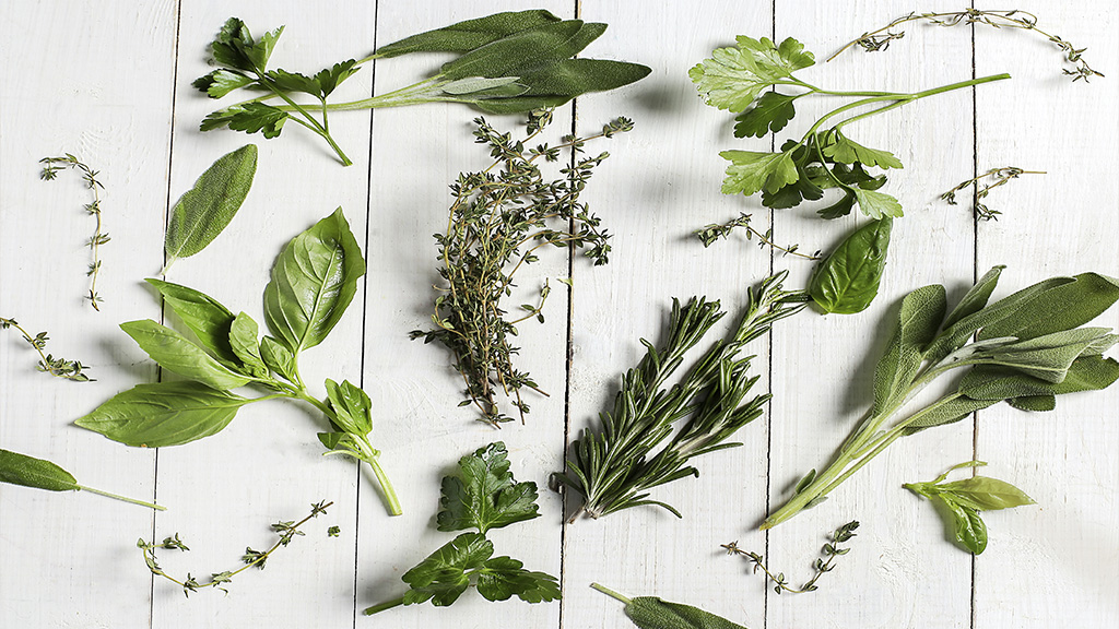 medicinas naturales para la diabetes que mejorarán tu salud