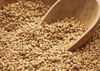 El Fenogreco y sus Propiedades Medicinales