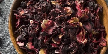 12 beneficios de la Flor de Jamaica