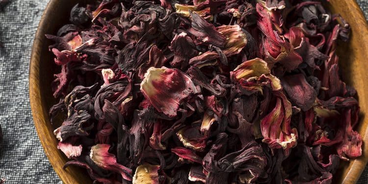 12 beneficios de la Flor de Jamaica
