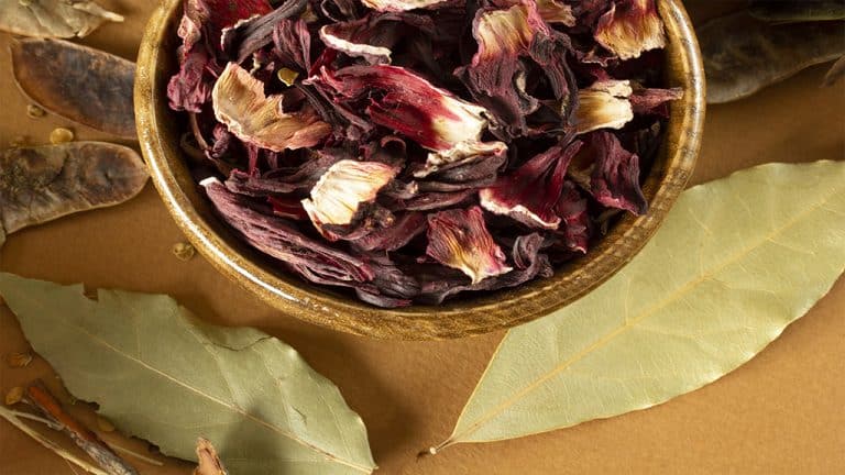 12 beneficios de la Flor de Jamaica - truesalud