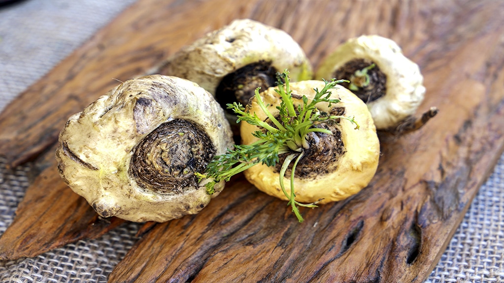 Maca negra para aumentar la energía y el deseo sexual