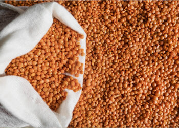 Lecitina de soya propiedades y cómo tomar