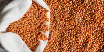 Lecitina de soya propiedades y cómo tomar