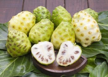 Propiedades, beneficios y usos del noni