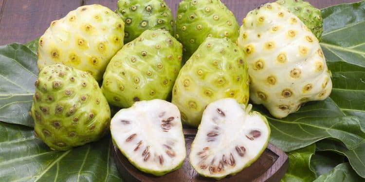 Propiedades, beneficios y usos del noni
